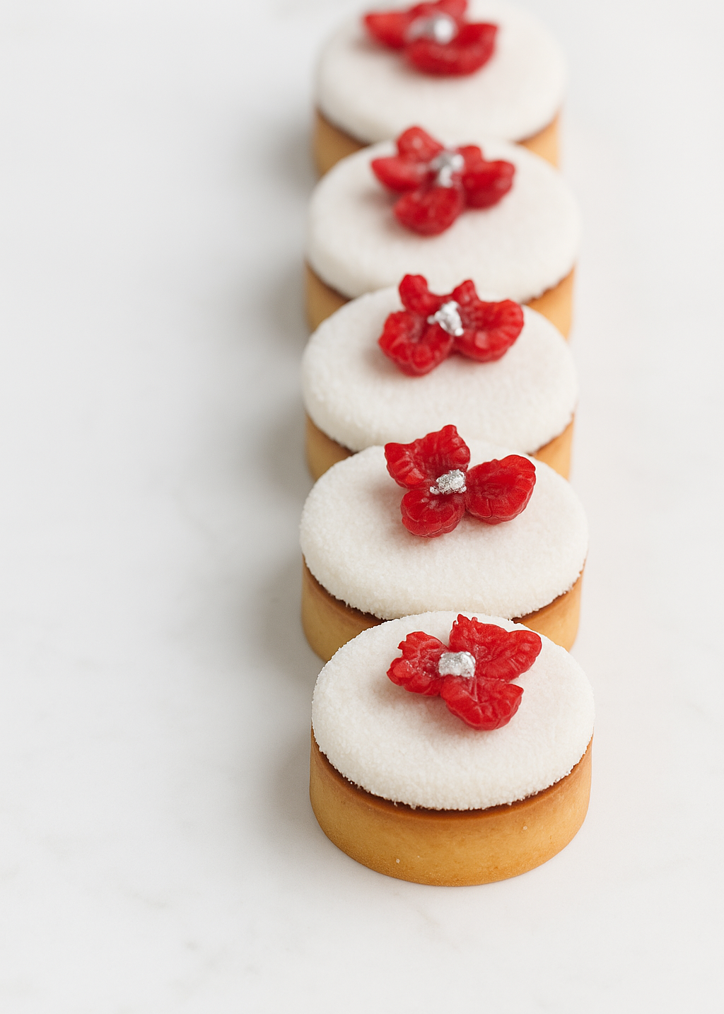 Tarte Framboise Coco