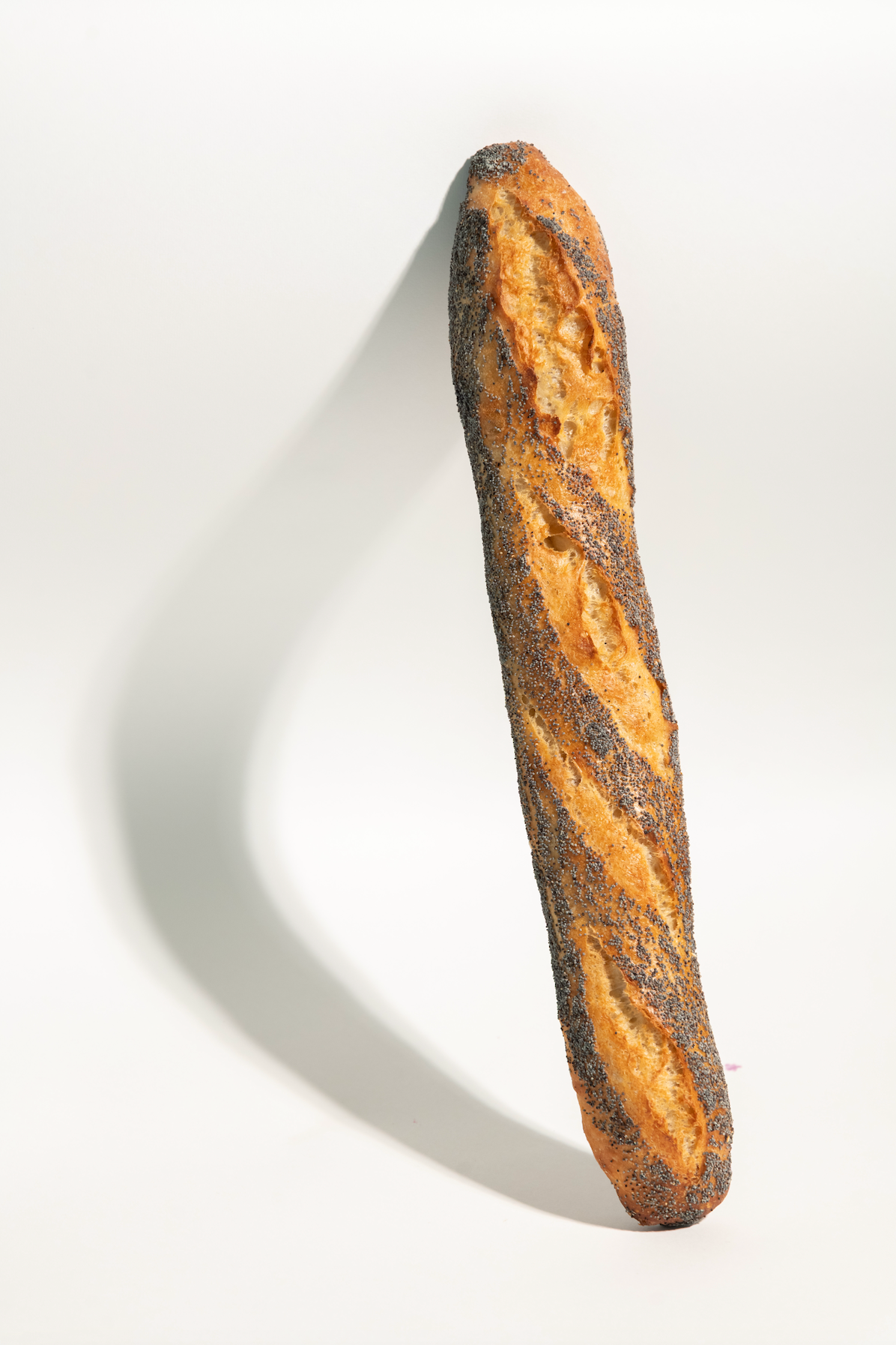 Baguette Pavot